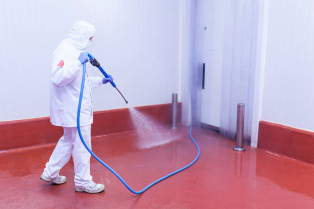 Best Pre-Holiday Cleaning  in Westvale, NY